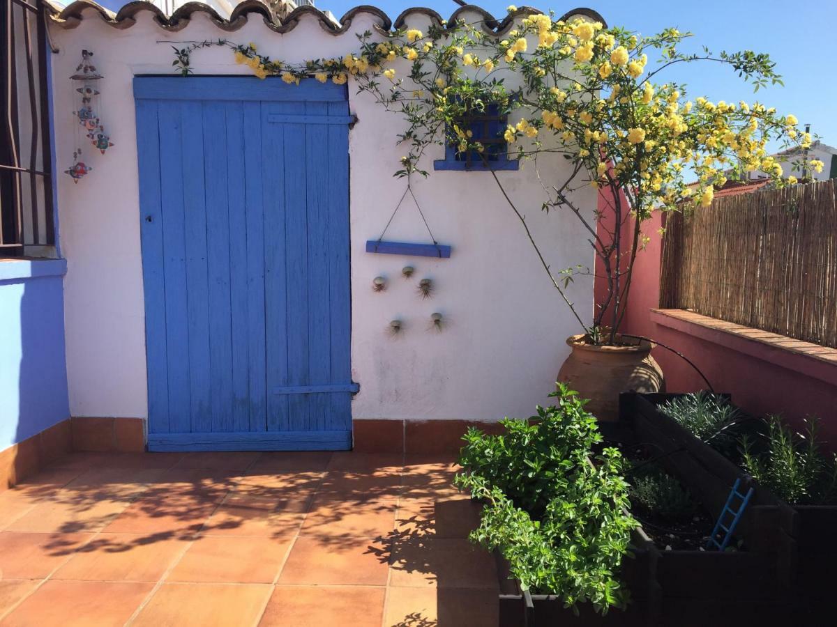 Apartment Atico Deluxe San Basilio