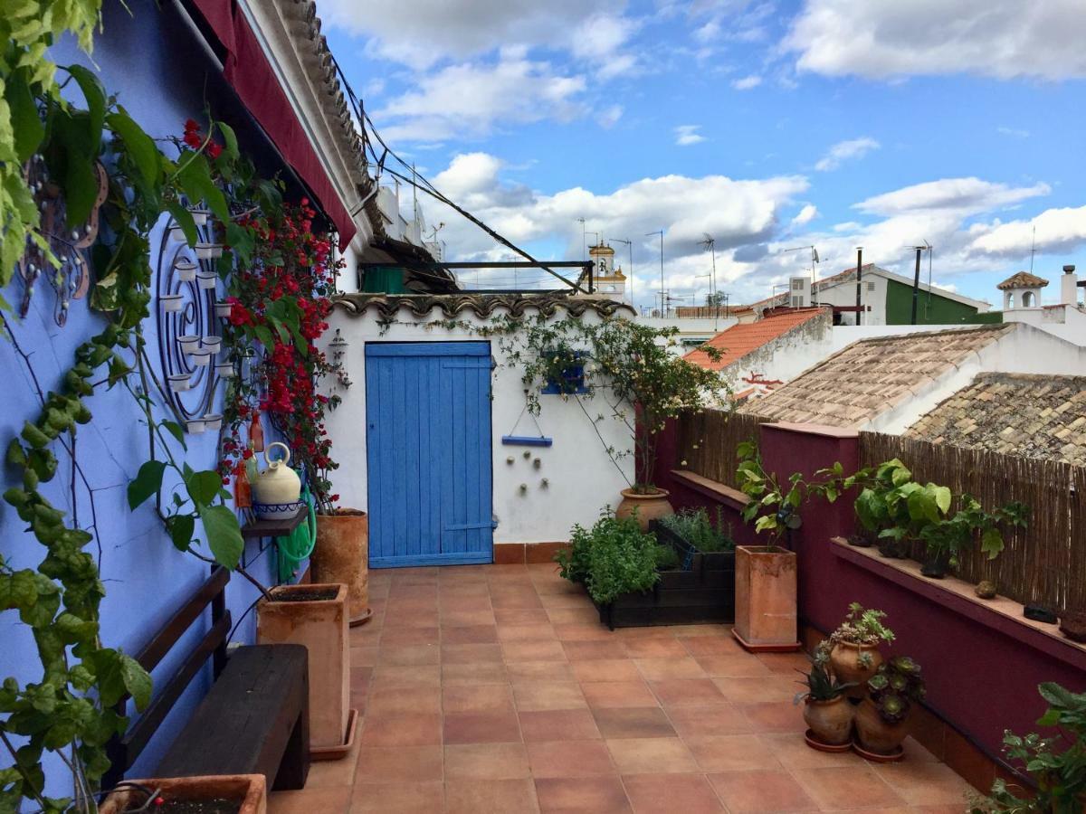 Atico Deluxe San Basilio *